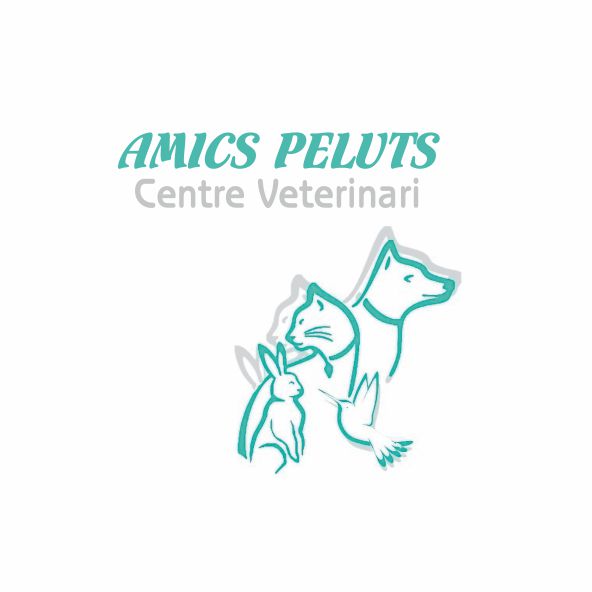 amicspeluts_logo