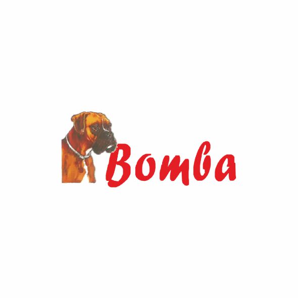 bomba_logo