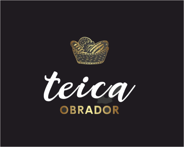 teica_logo